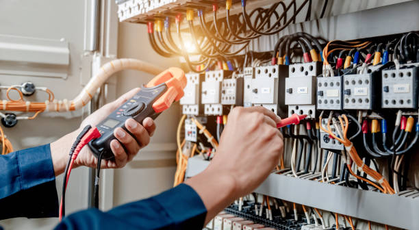 Best Electrical System Inspection  in Eagan, MN